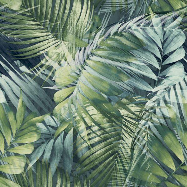 PARADISE